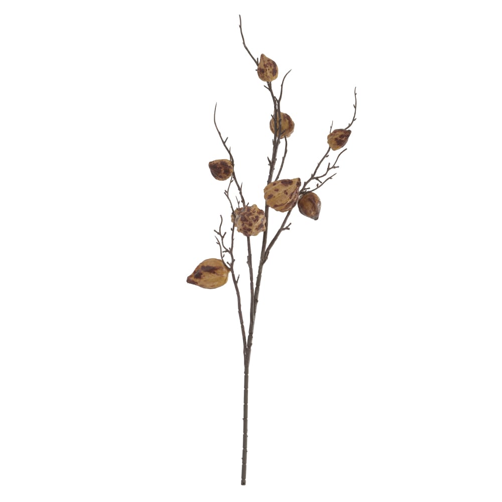 C.GALHO SEMENTES X10 (VERMELHO OUTONO) 98cm