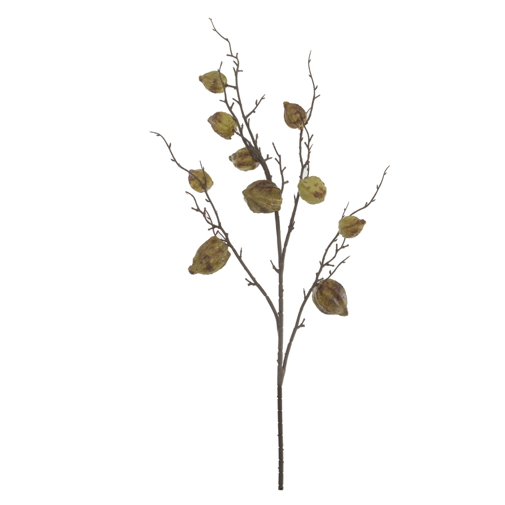 C.GALHO SEMENTES X10 (VERDE OUTONO) 98cm