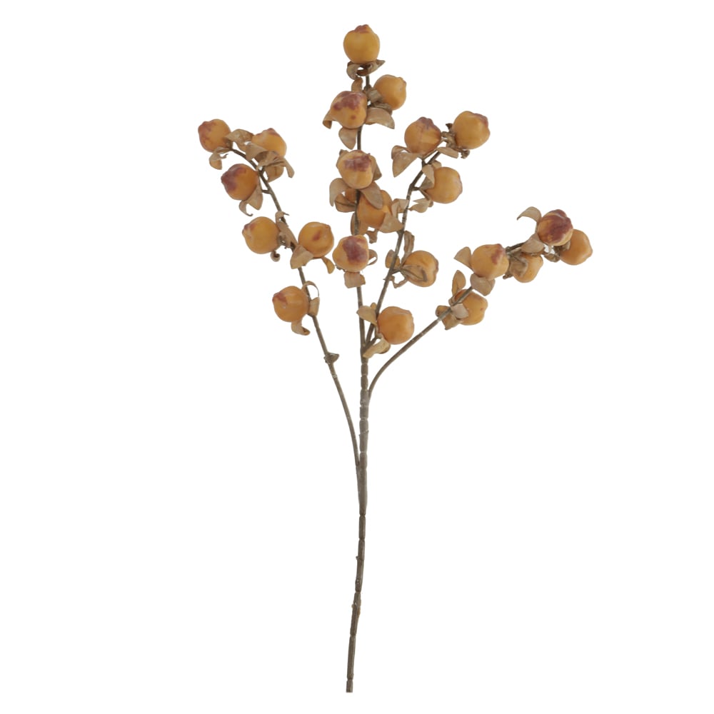 C.GALHO SEMENTES X23 (AMARELO VERMELHO OUTONO) 77cm