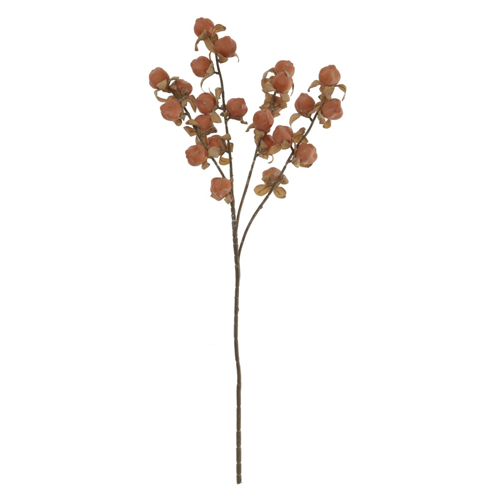 C.GALHO SEMENTES X23 (LARANJA OUTONO) 77cm