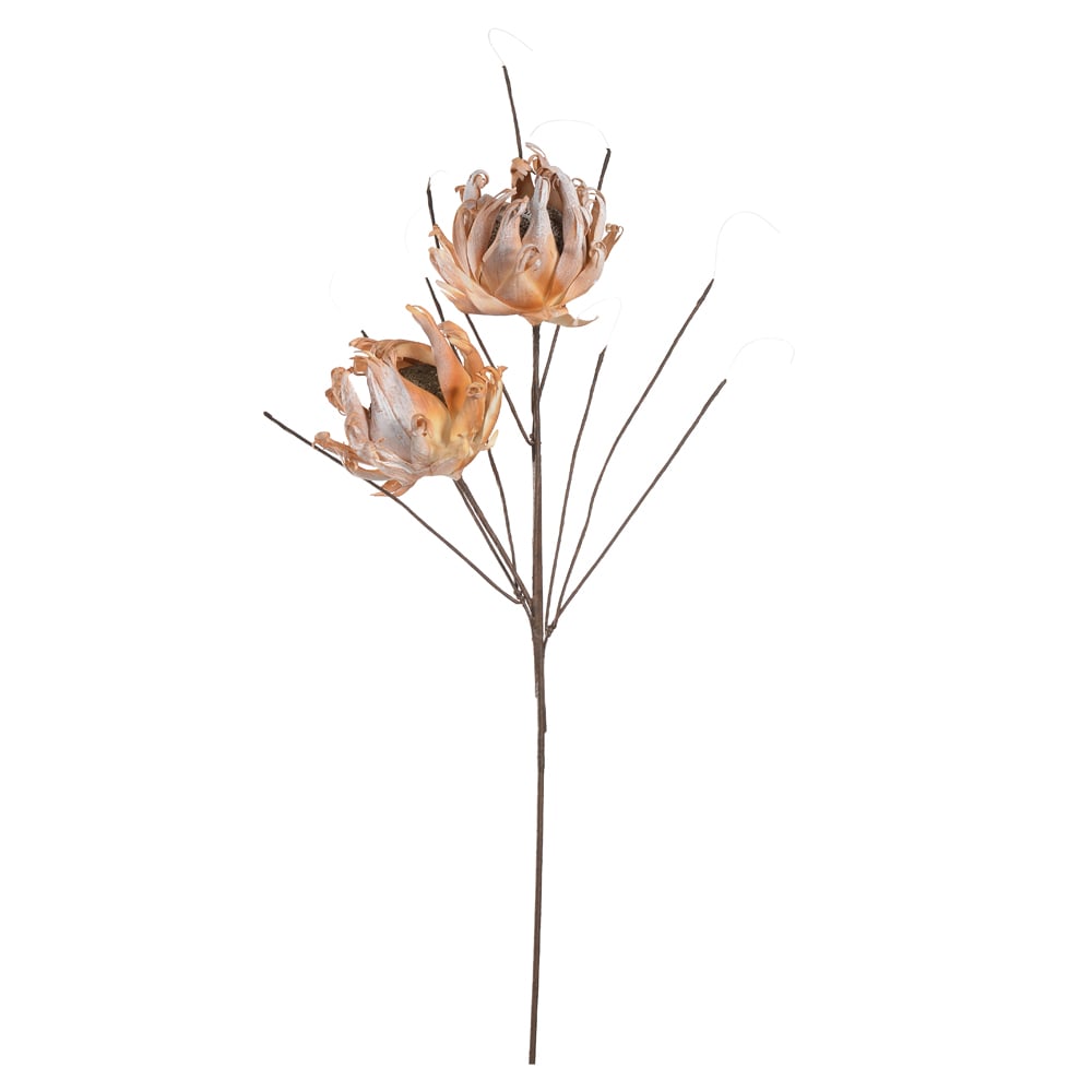H.PROTEA EVA X2 (LARANJA) 1m