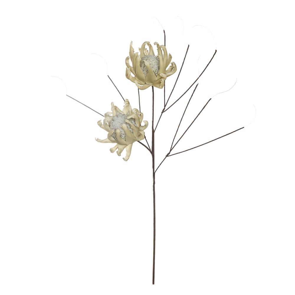 H.PROTEA EVA X2 (OFF WHITE) 1m