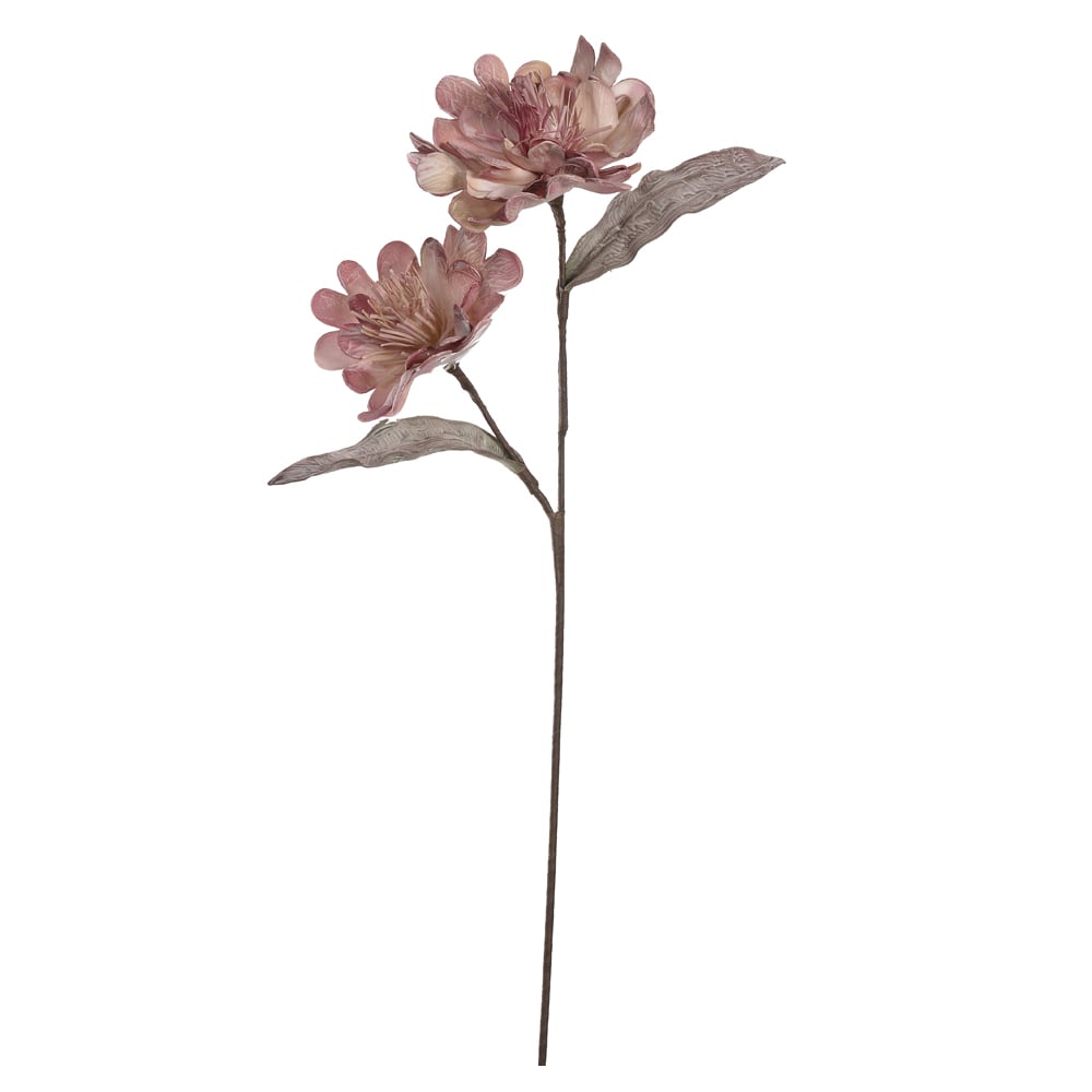 H.FLOR EVA X2 (ROSA BEGE) 93cm