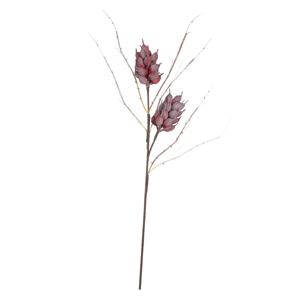 C.GALHO SEMENTES X40 (VERMELHO) 92cm