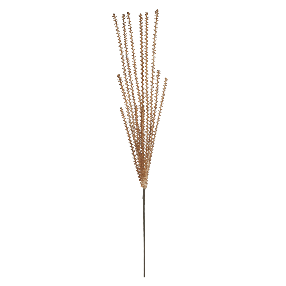 C.GRASS EVA ARAMADO X12 (OCRE) 1,14m