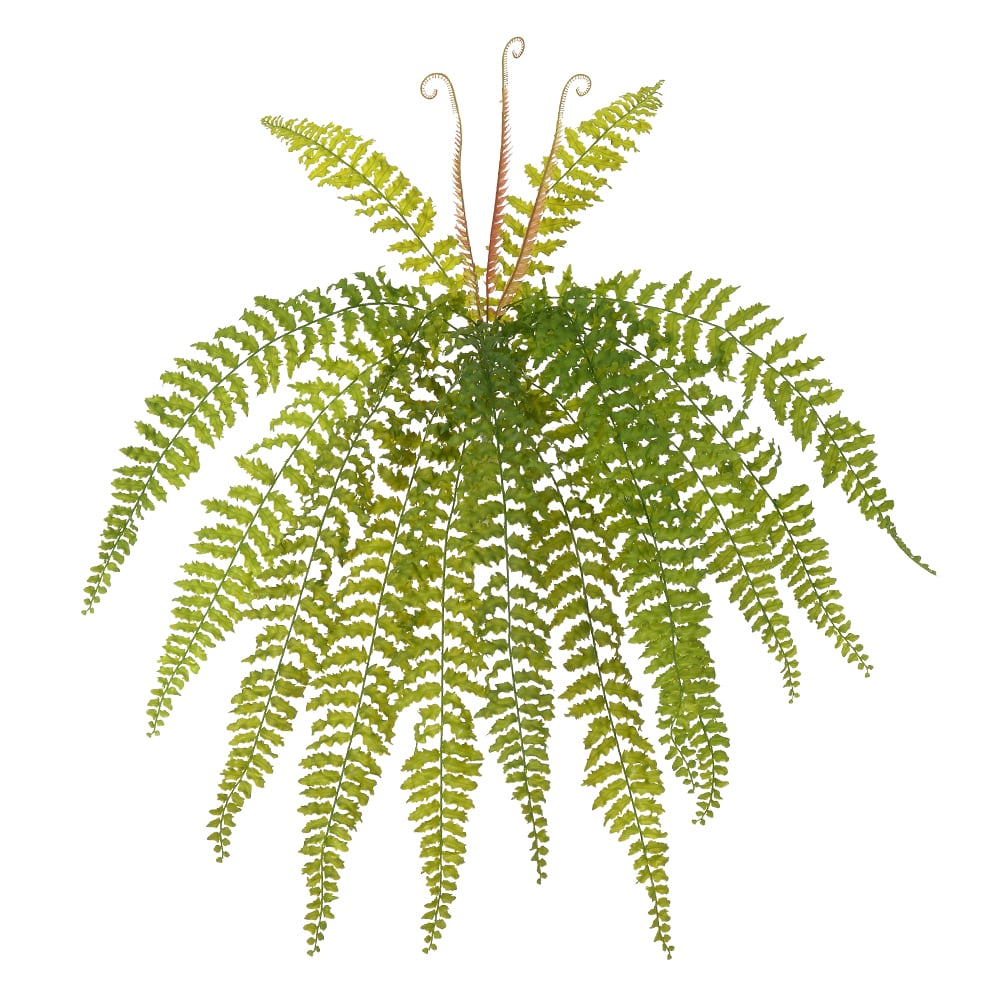 F.SAMAMBAIA C/PRINT PLASTICO X14 (VERDE) 69cm