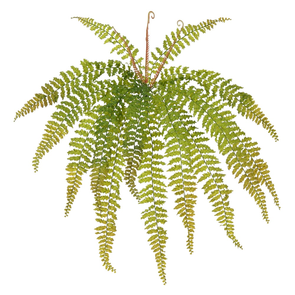 F.SAMAMBAIA C/PRINT PLASTICO X14 (VERDE OUTONO) 69cm