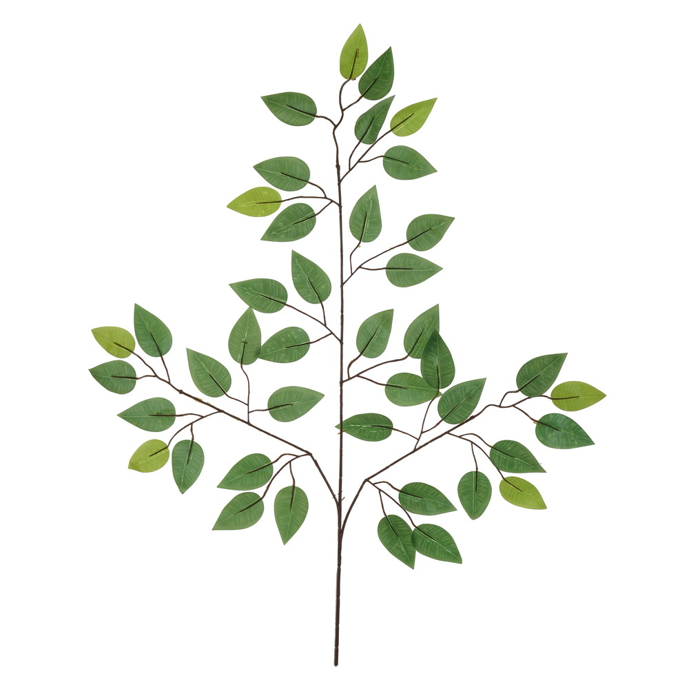 C.FICUS REAL TOQUE X42 (VERDE MARROM) 60cm