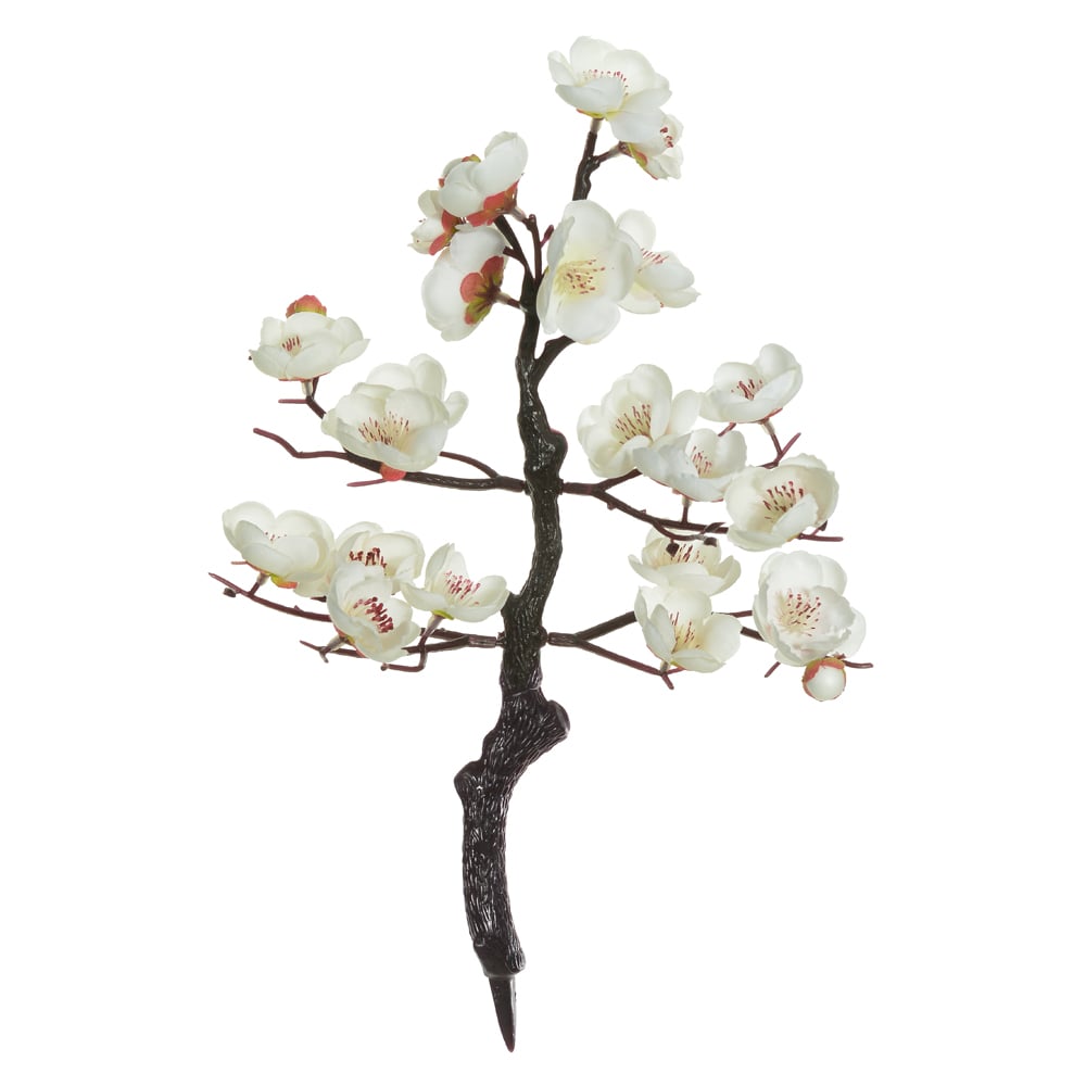 A.BONSAI CEREJEIRA X21 (CREME) 32cm