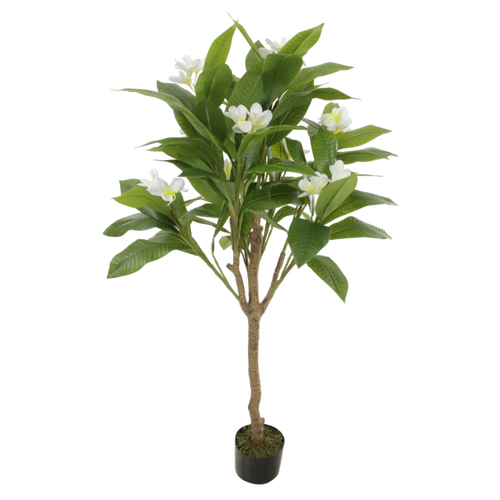 A.PLUMERIA. REAL TOQUE C/POTE X10 (BRANCO) 1,2m