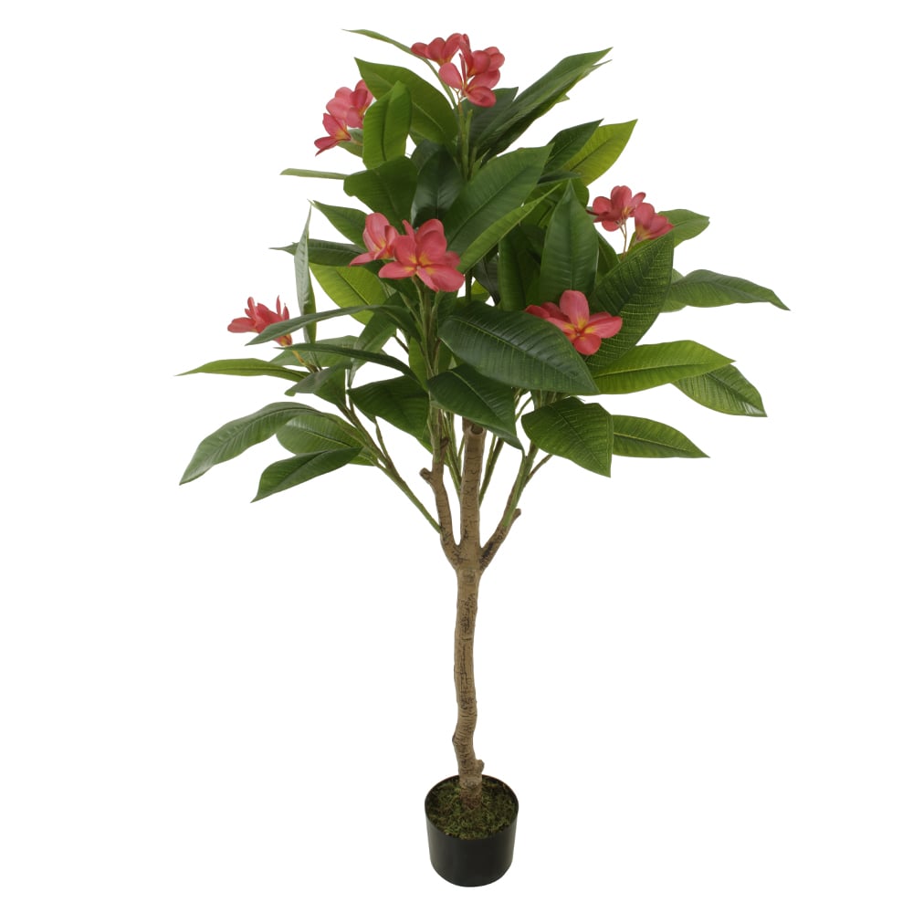 A.PLUMERIA. REAL TOQUE C/POTE X10 (ROSA) 1,2m