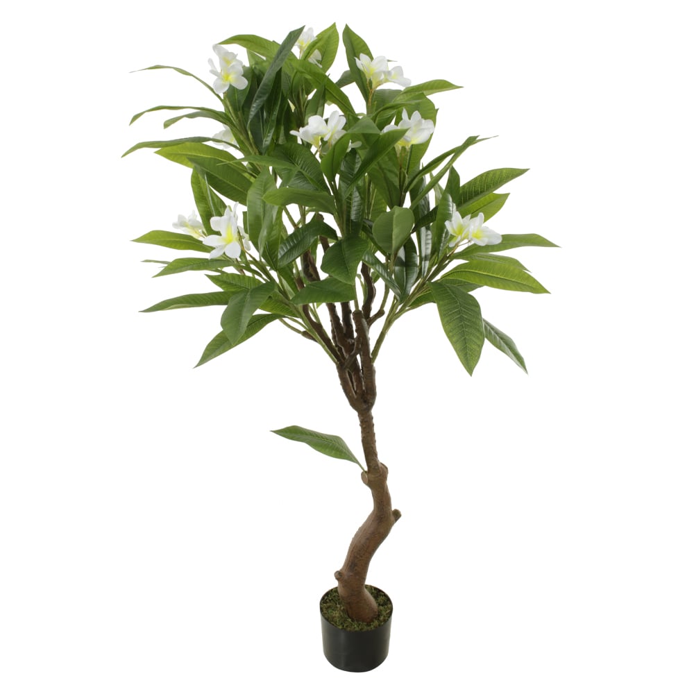 A.PLUMERIA. REAL TOQUE C/POTE X14 (BRANCO) 1,4m