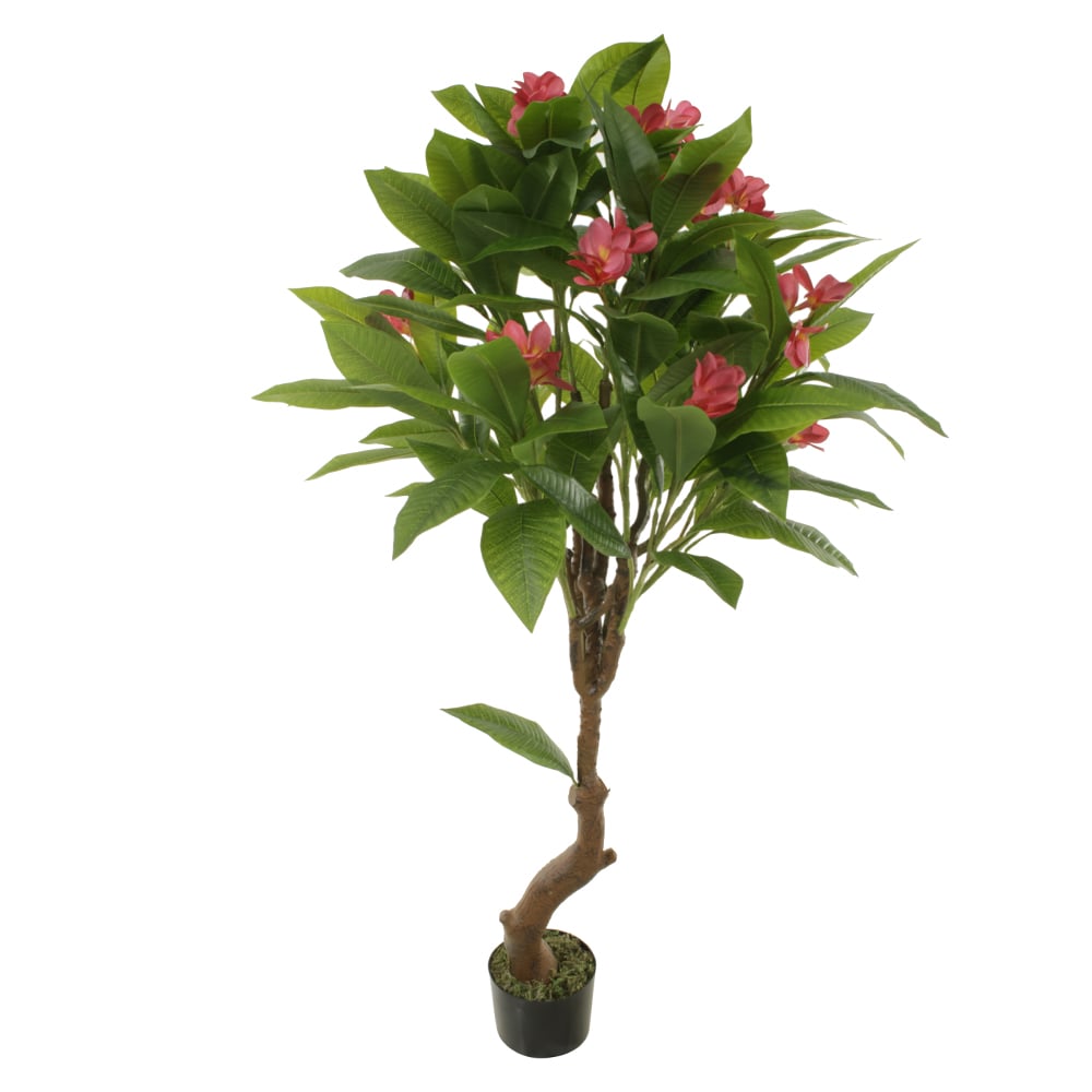 A.PLUMERIA. REAL TOQUE C/POTE X14 (ROSA) 1,4m