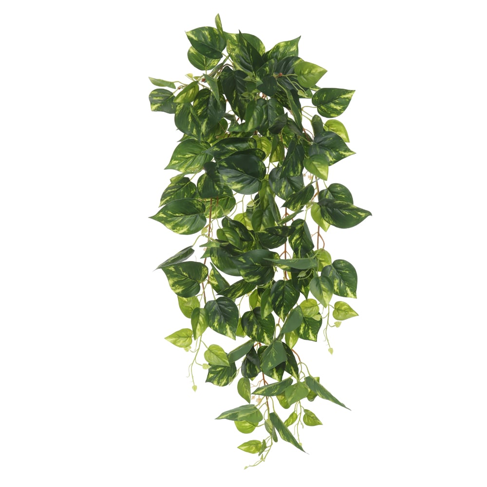 F.JIBOIA REAL TOQUE PENDURAR PLASTICO X133 (VERDE CREME) 90cm