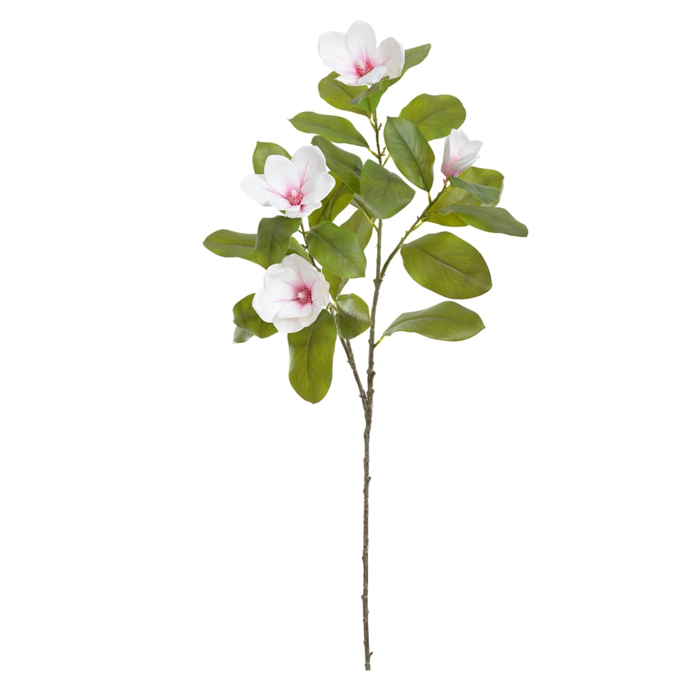 H.MAGNOLIA REAL TOQUE X4 (BRANCO ROSA) 1m