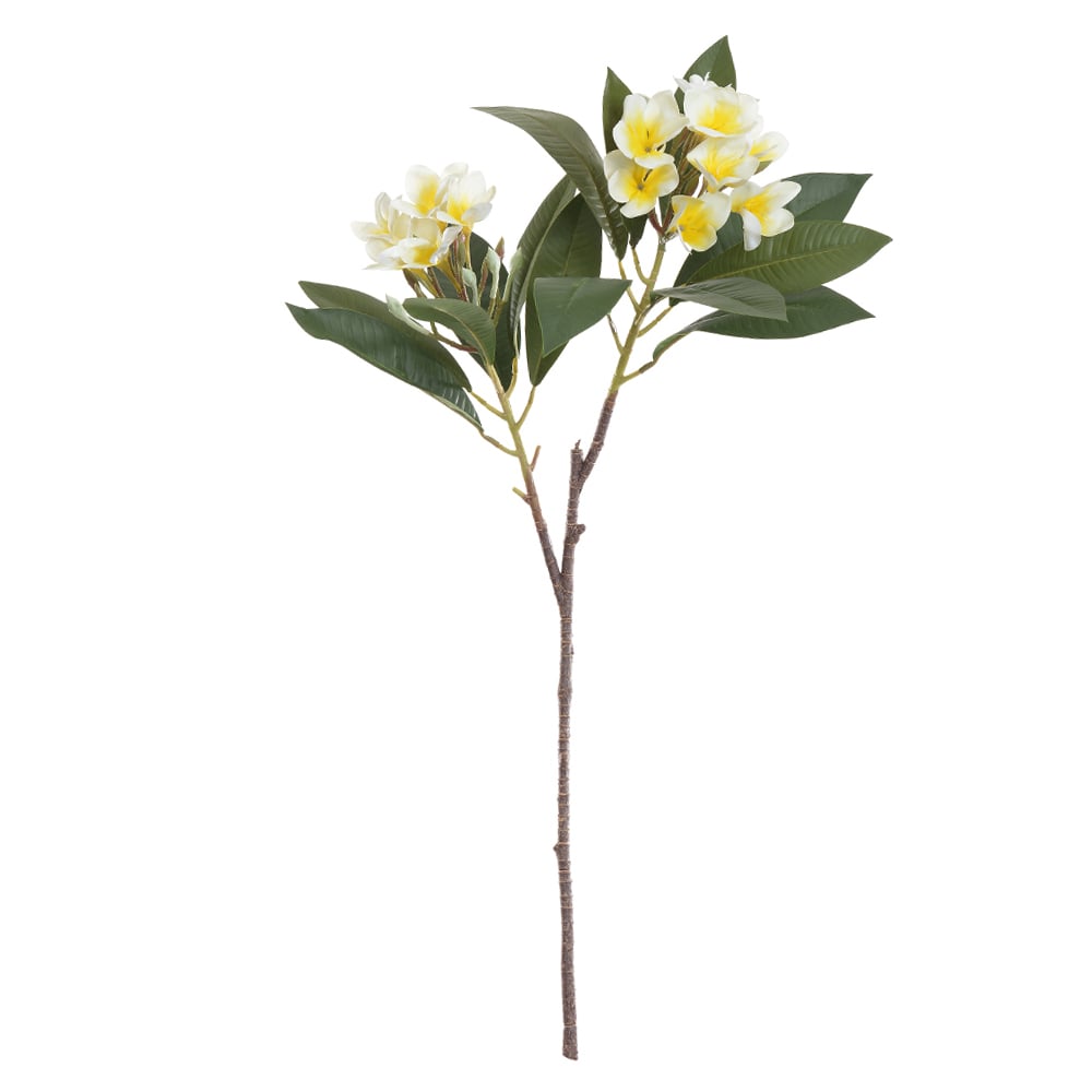H.PLUMERIA REAL TOQUE X14 (BRANCO AMARELO) 86cm
