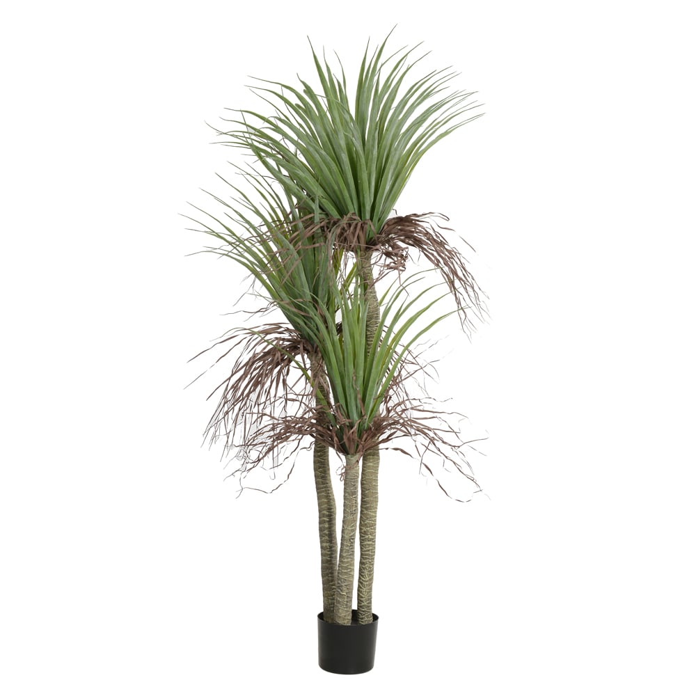A.YUCCA C/POTE X166 (VERDE) 1,8m