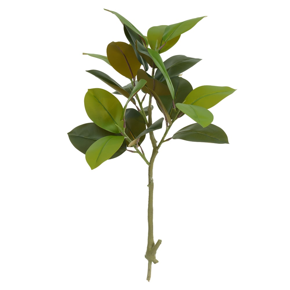 A.FICUS ELASTICA REAL TOQUE X25 (VERDE OUTONO) 1m