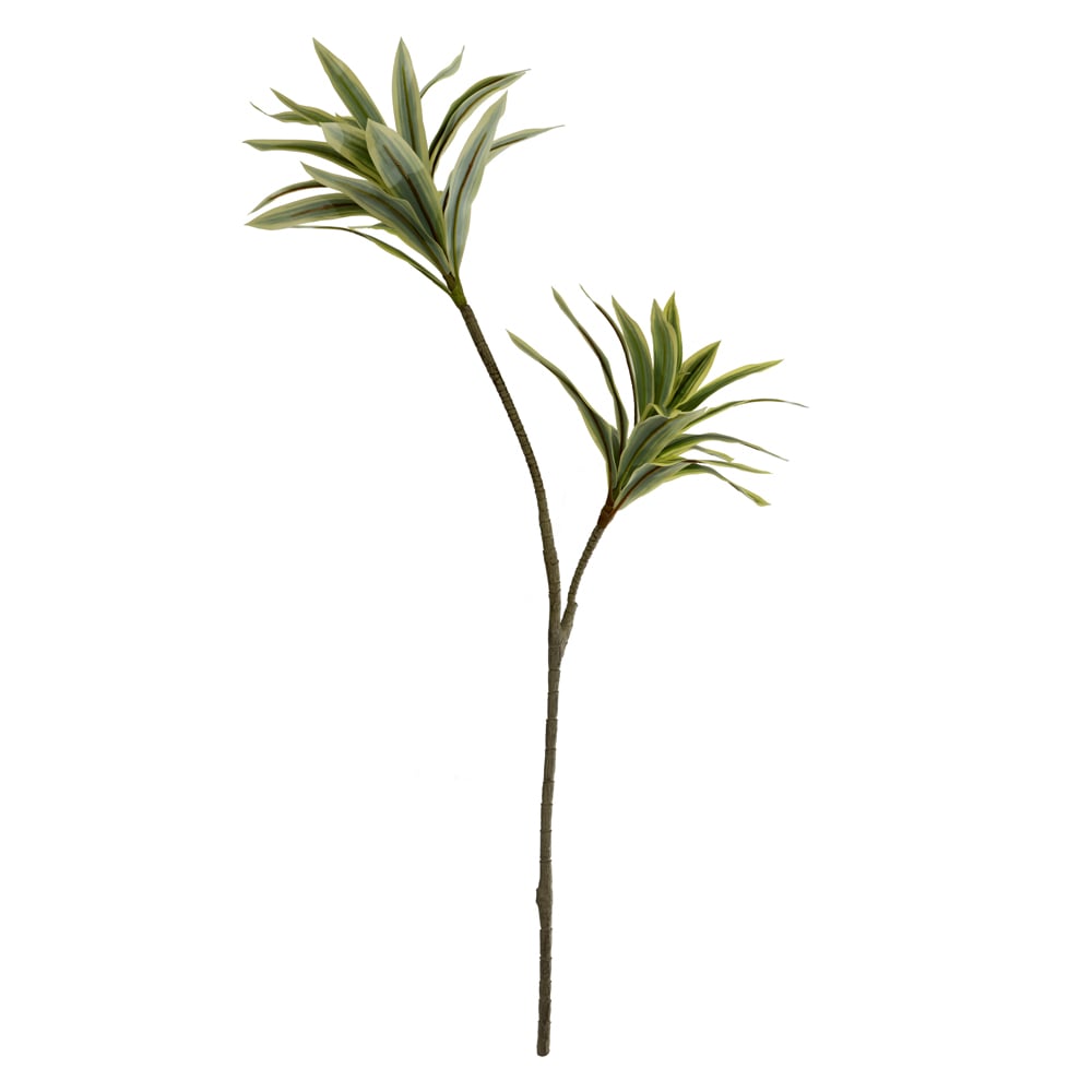 C.GALHO DRACENA REFLEXA REAL TOQUE X42 (VERDE AMARELO) 92cm