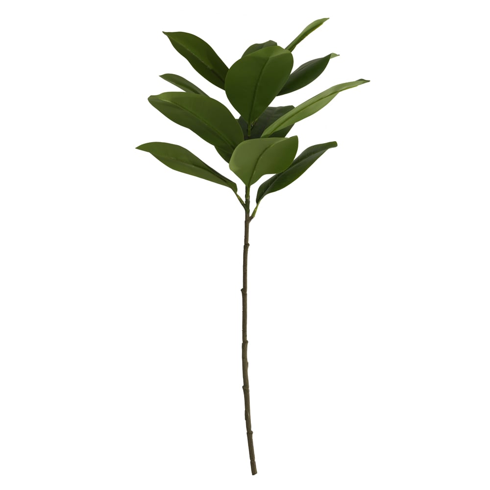 C.GALHO MAGNOLIA REAL TOQUE X13 (VERDE) 83cm