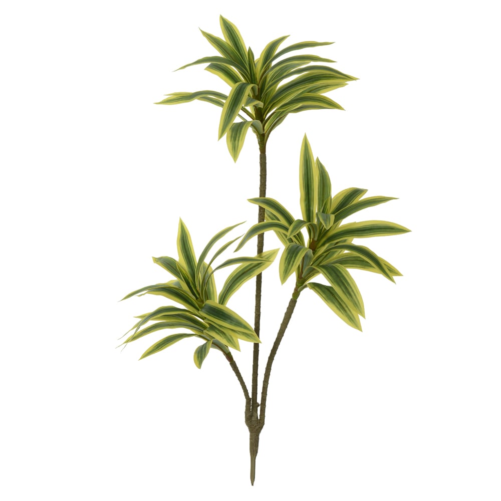A.DRACENA REFLEXA REAL TOQUE X61 (VERDE AMARELO) 70cm