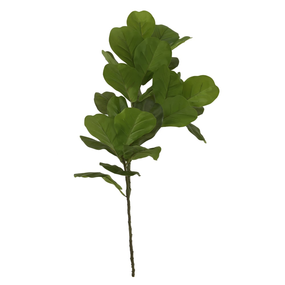 C.GALHO FICUS LYRATA REAL TOQUE X29 (VERDE) 1,05m