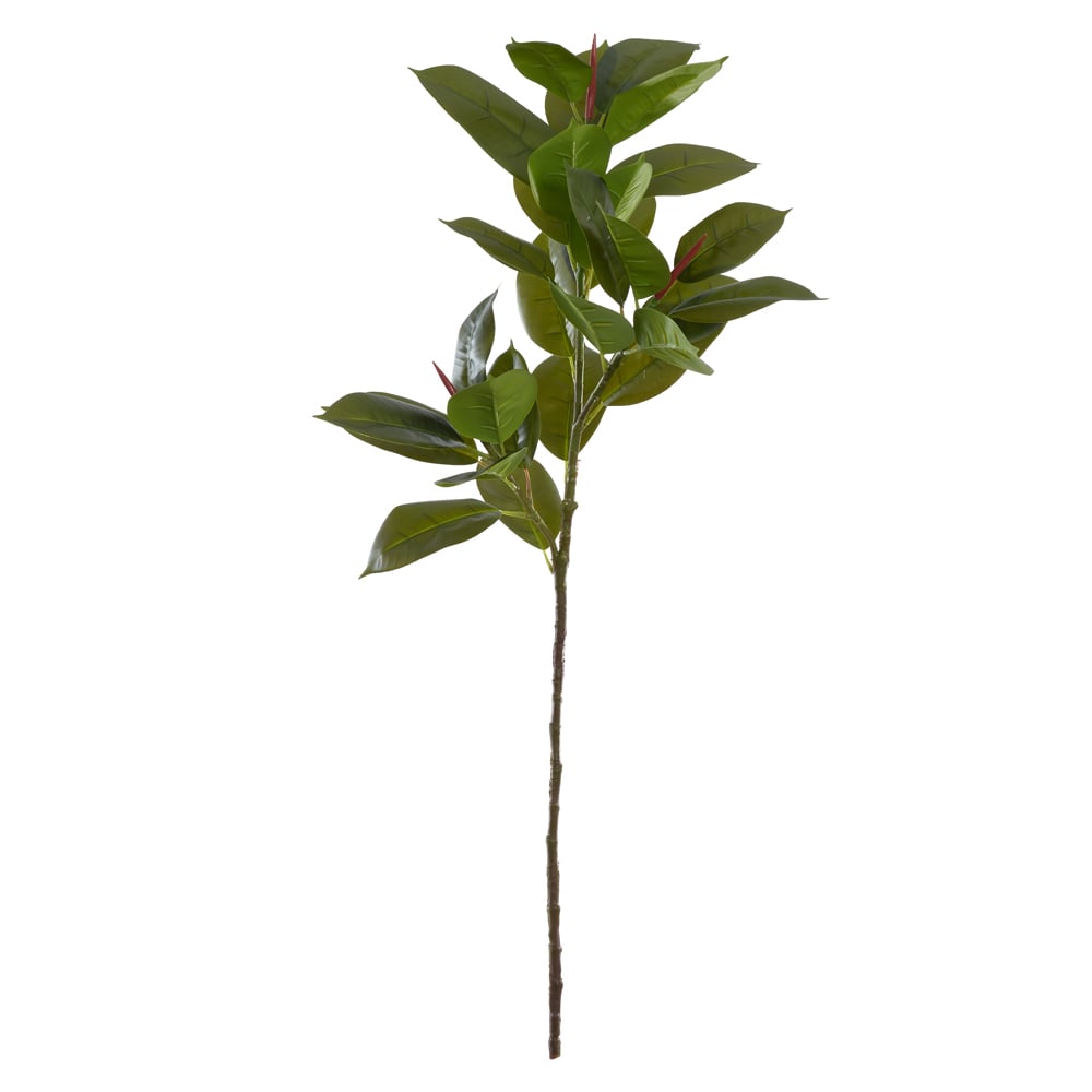 C.GALHO FICUS ELASTICA REAL TOQUE X29 (VERDE) 1,05m