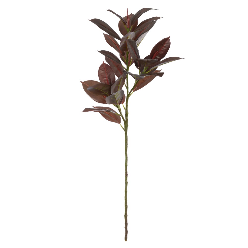 C.GALHO FICUS ELASTICA REAL TOQUE X29 (PURPURA) 1,05m