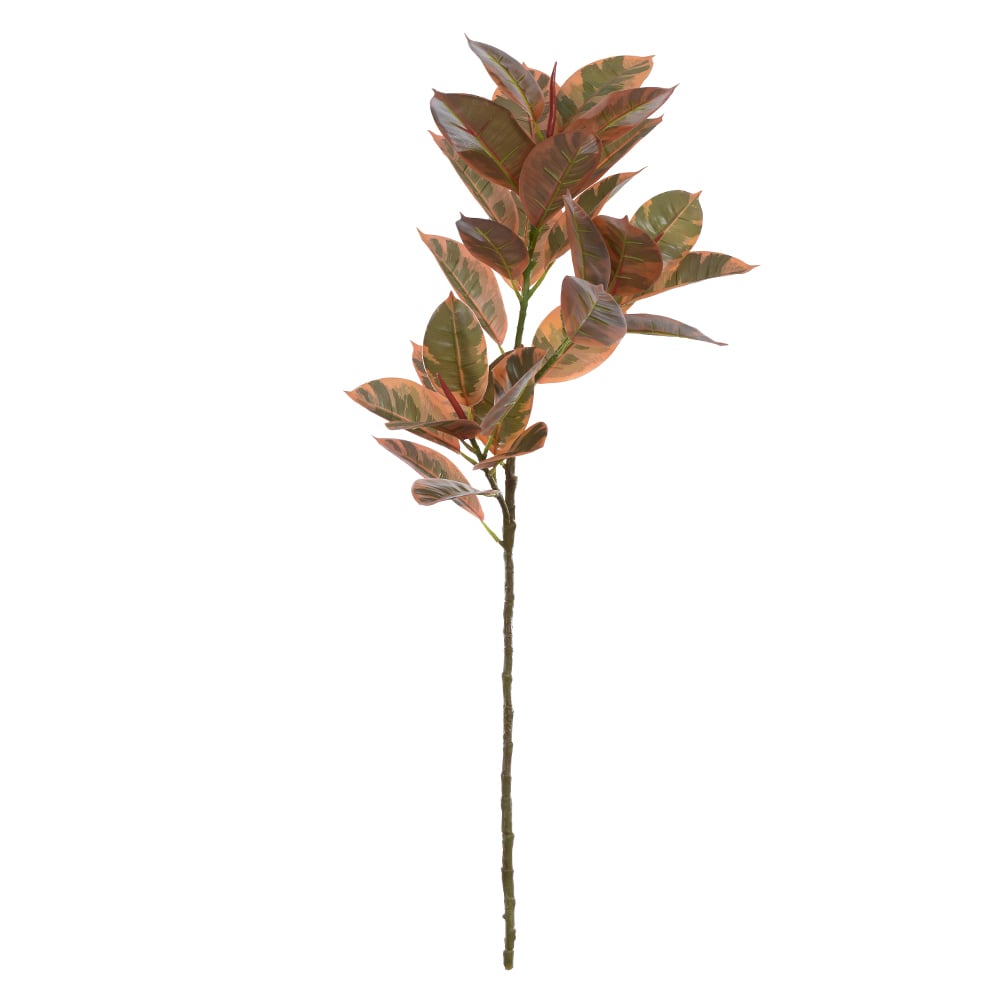 C.GALHO FICUS ELASTICA REAL TOQUE X29 (VERDE OUTONO) 1,05m