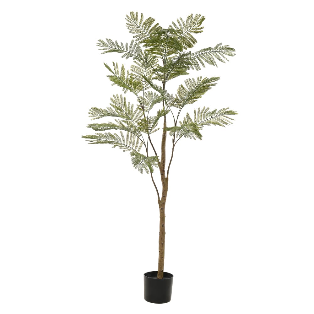 A.ACACIA C/POTE PLASTICO X23 (VERDE) 1,6m