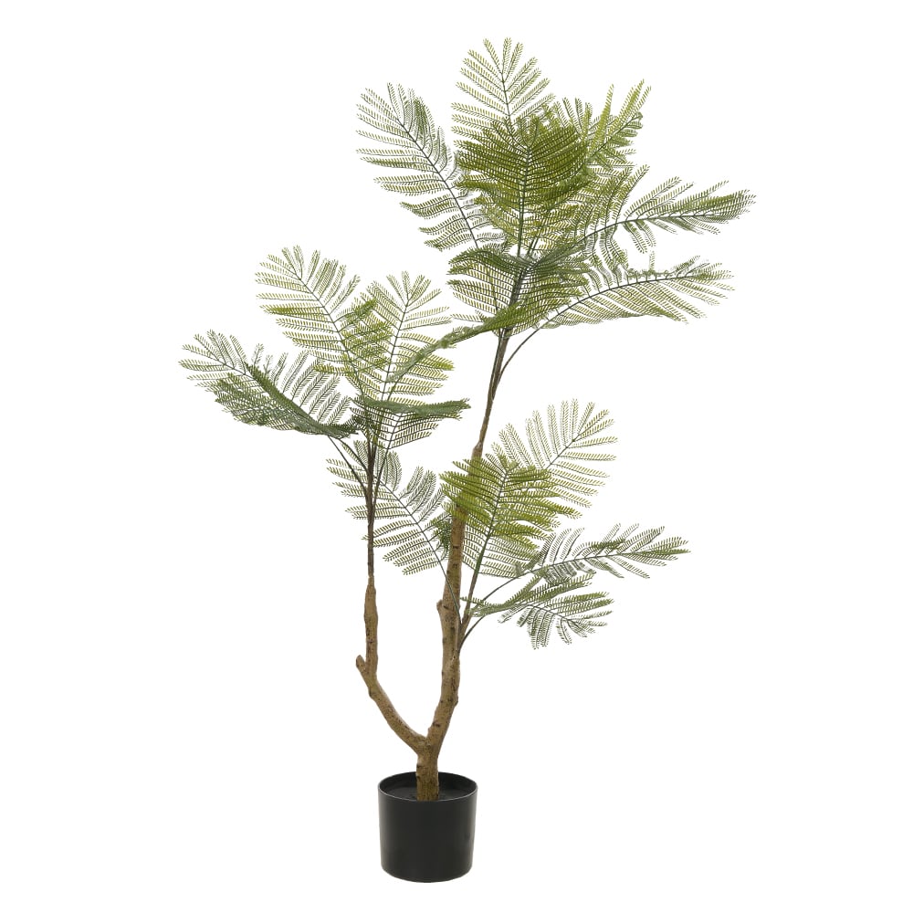 A.ACACIA C/POTE PLASTICO X20 (VERDE) 1,2m