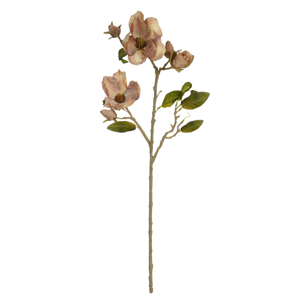 H.MAGNOLIA X6 (CREME OUTONO) 73cm