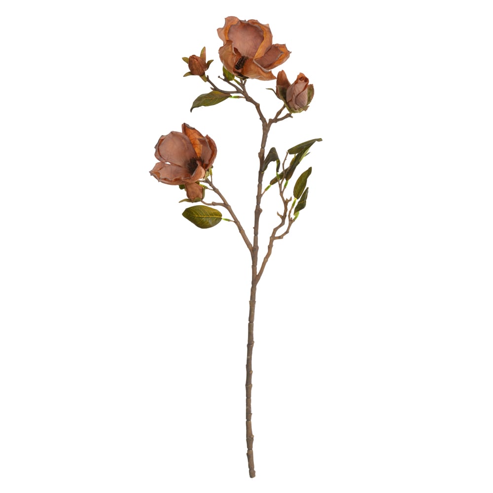 H.MAGNOLIA X6 (CHA OUTONO) 73cm