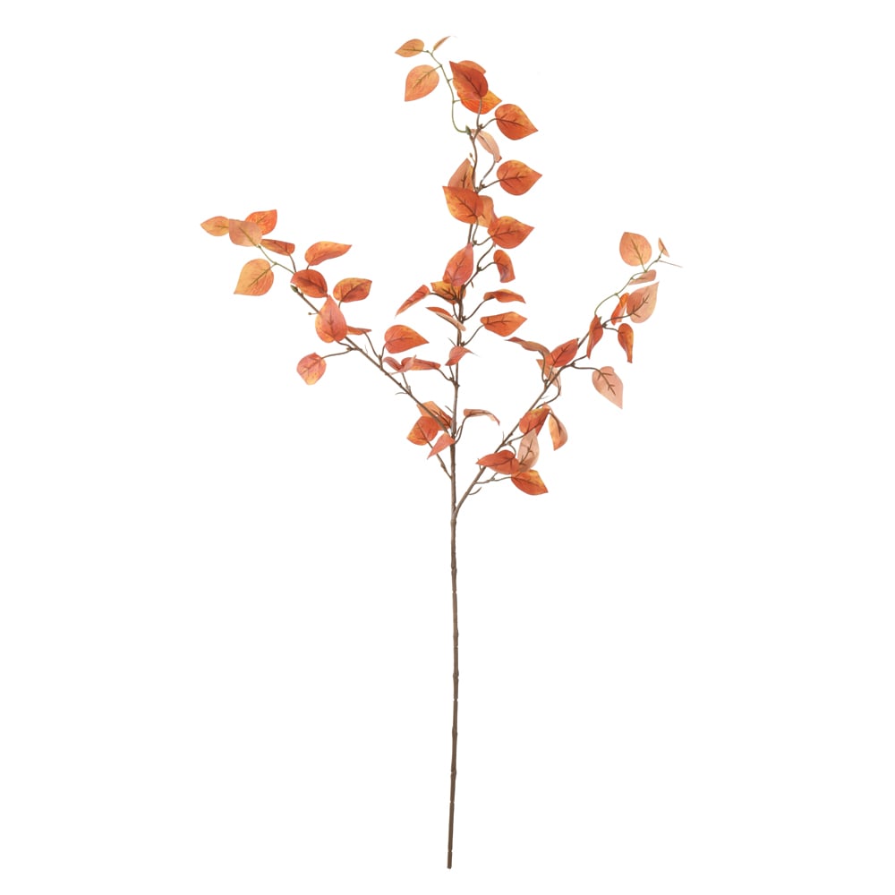 C.GALHO FOLHA X59 (OCRE) 83cm