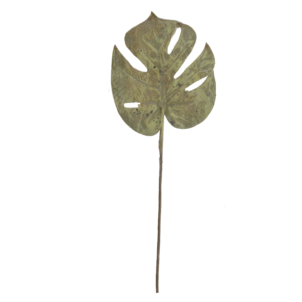 C.FOLHA COSTELA DE ADAO C/ COAT (PALHA OUTONO) 45cm