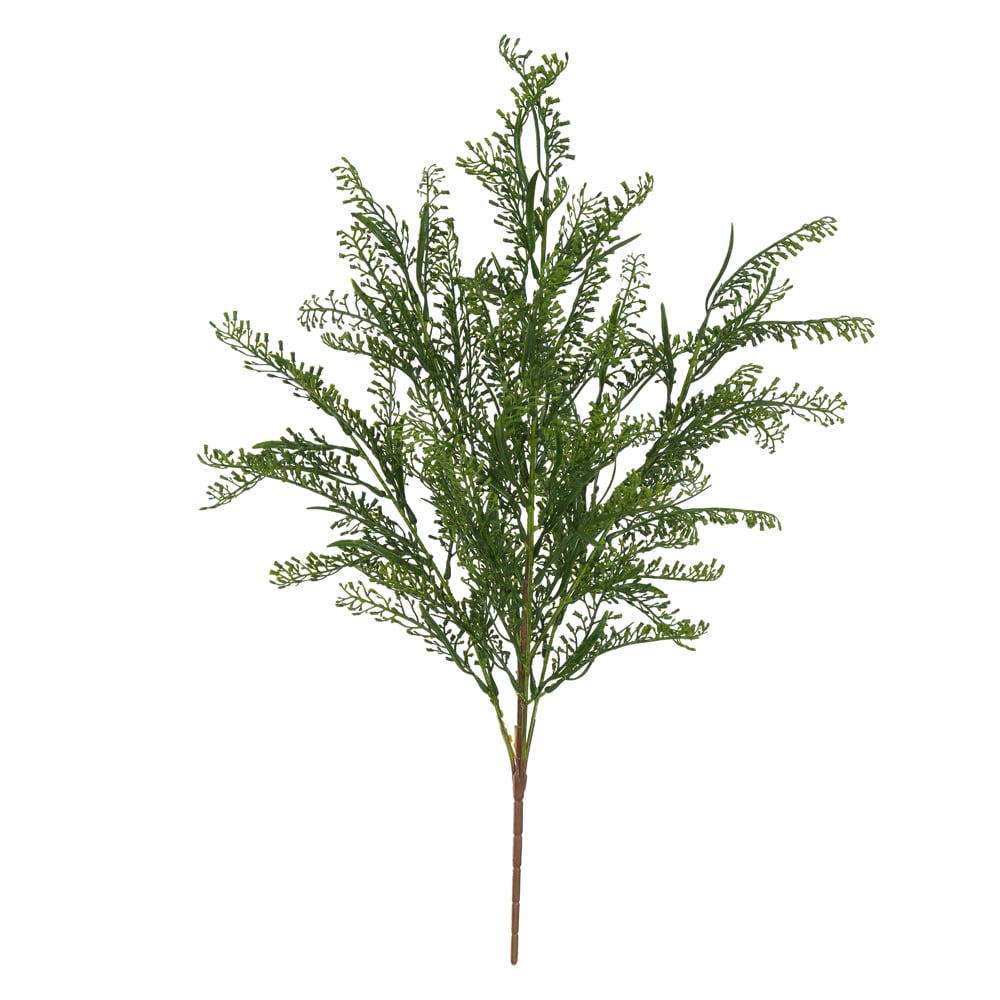 F.GRASS C/PRINT X78 (VERDE) 64cm