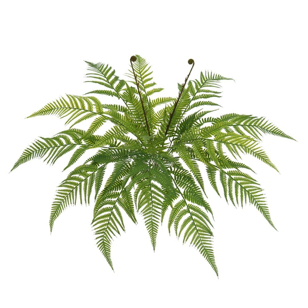 F.SAMAMBAIA C/PRINT X17 (VERDE) 60cm