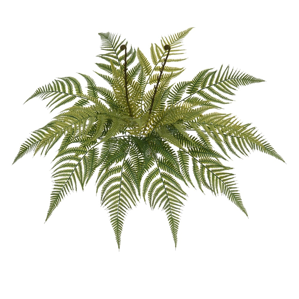 F.SAMAMBAIA C/PRINT X17 (VERDE OUTONO) 60cm