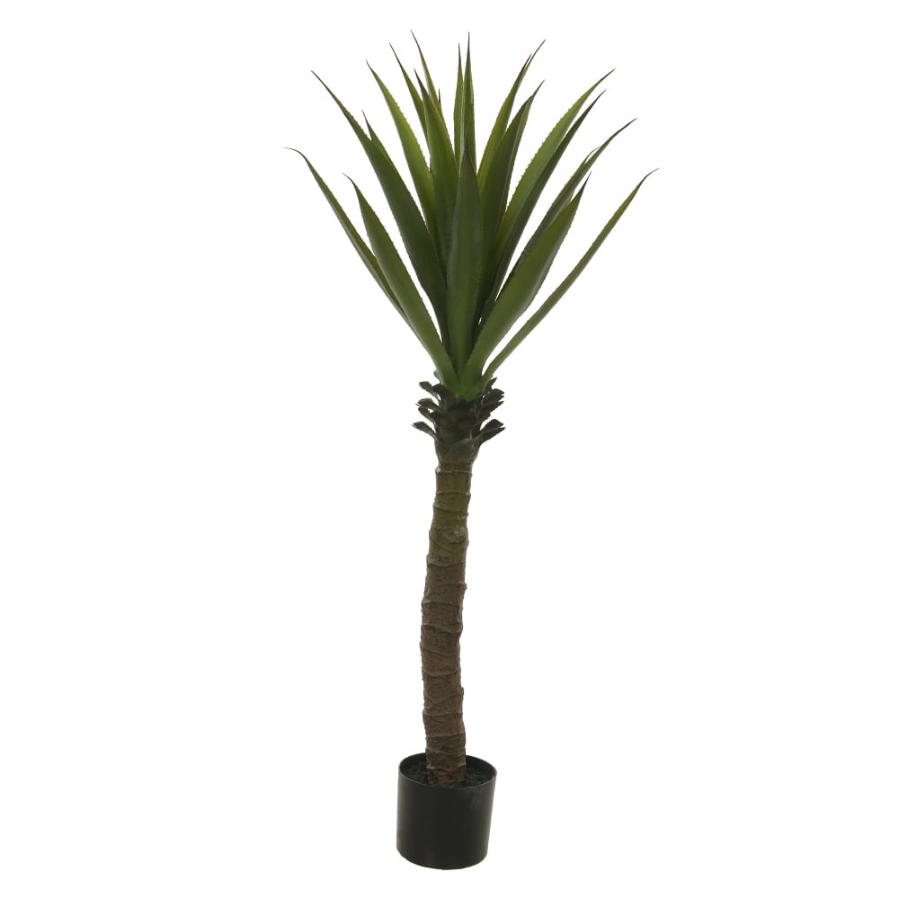 A.PANDANUS C/POTE PLASTICO X24 (VERDE) 1,2m