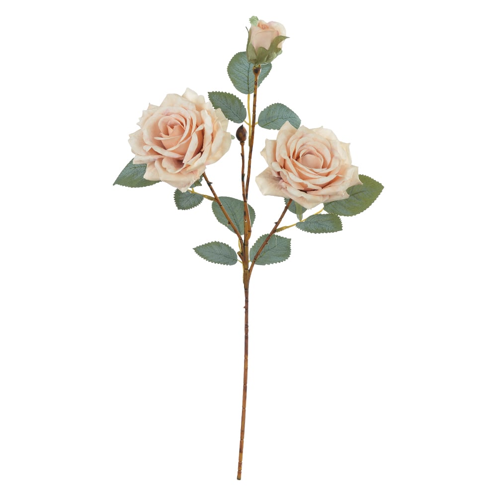H.ROSA X3 (CREME OUTONO) 52cm