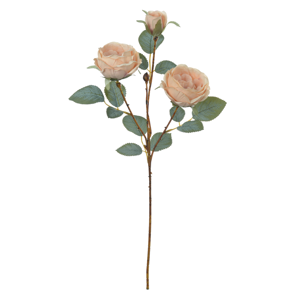 H.ROSA CABBAGE X3 (CREME OUTONO) 52cm