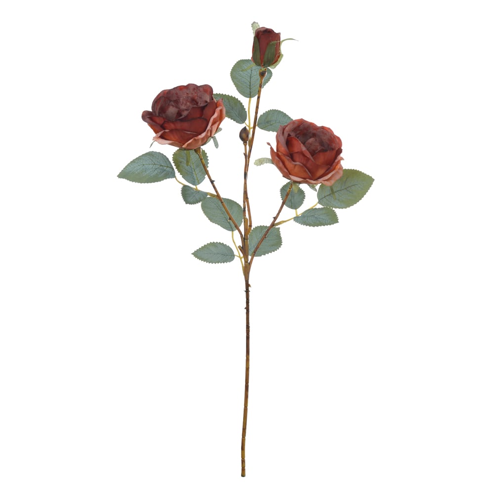 H.ROSA CABBAGE X3 (OCRE OUTONO) 52cm