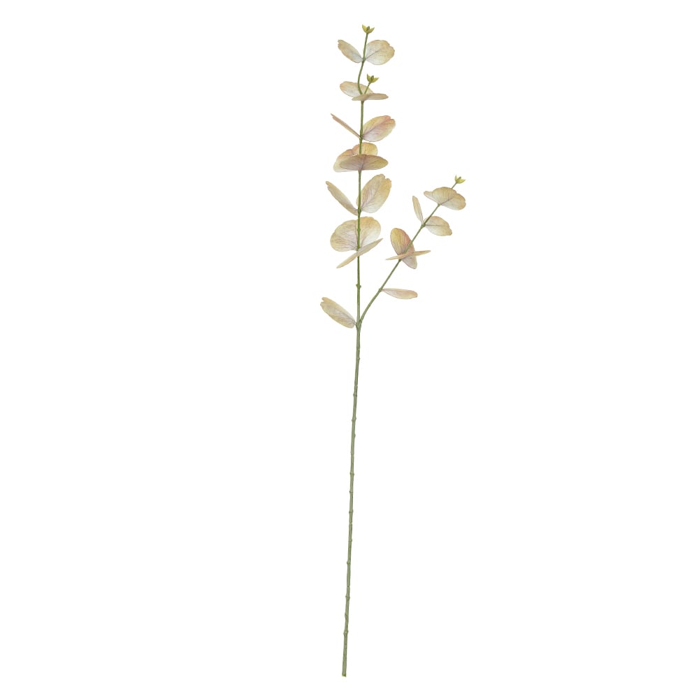 C.GALHO EUCALIPTO REAL TOQUE C/PROTECAO UV X20 (CHA) 75cm