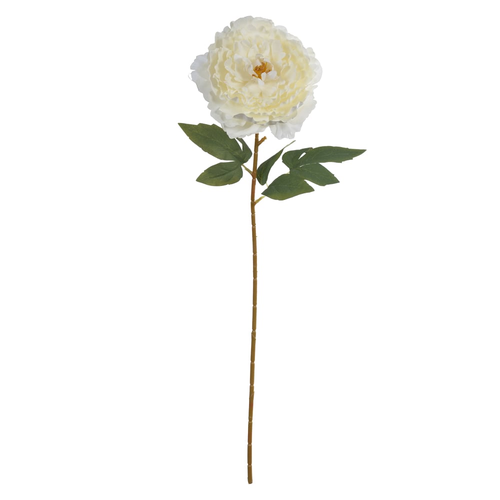 H.PEONIA (CREME) 63cm
