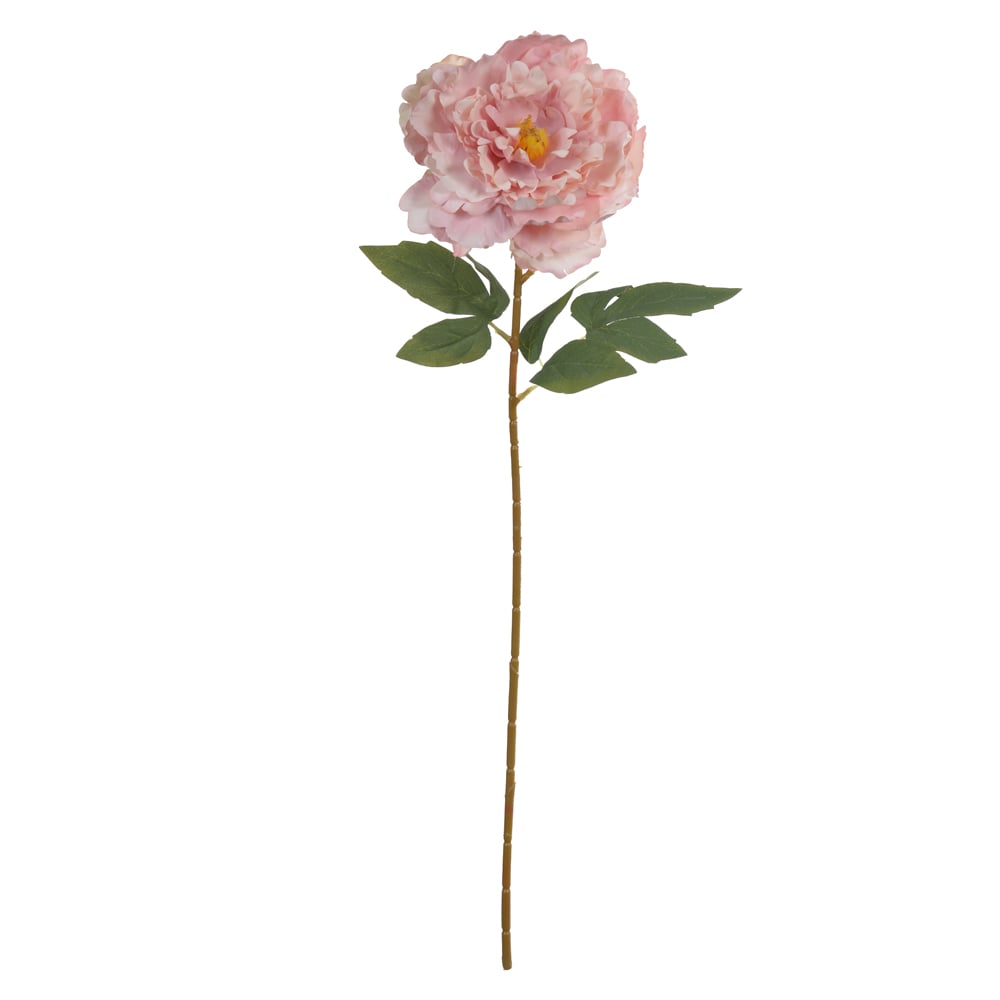 H.PEONIA (ROSA) 63cm
