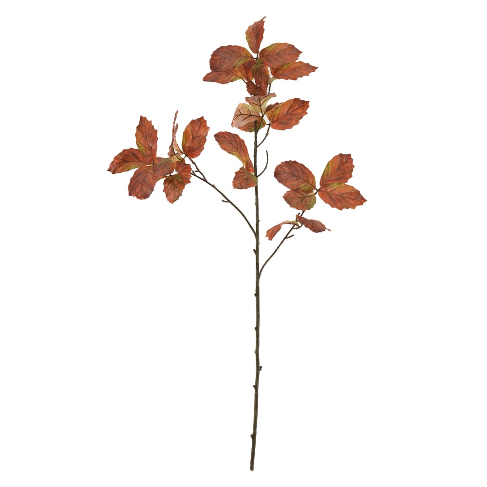 C.GALHO FOLHA X39 (OCRE) 1,15m