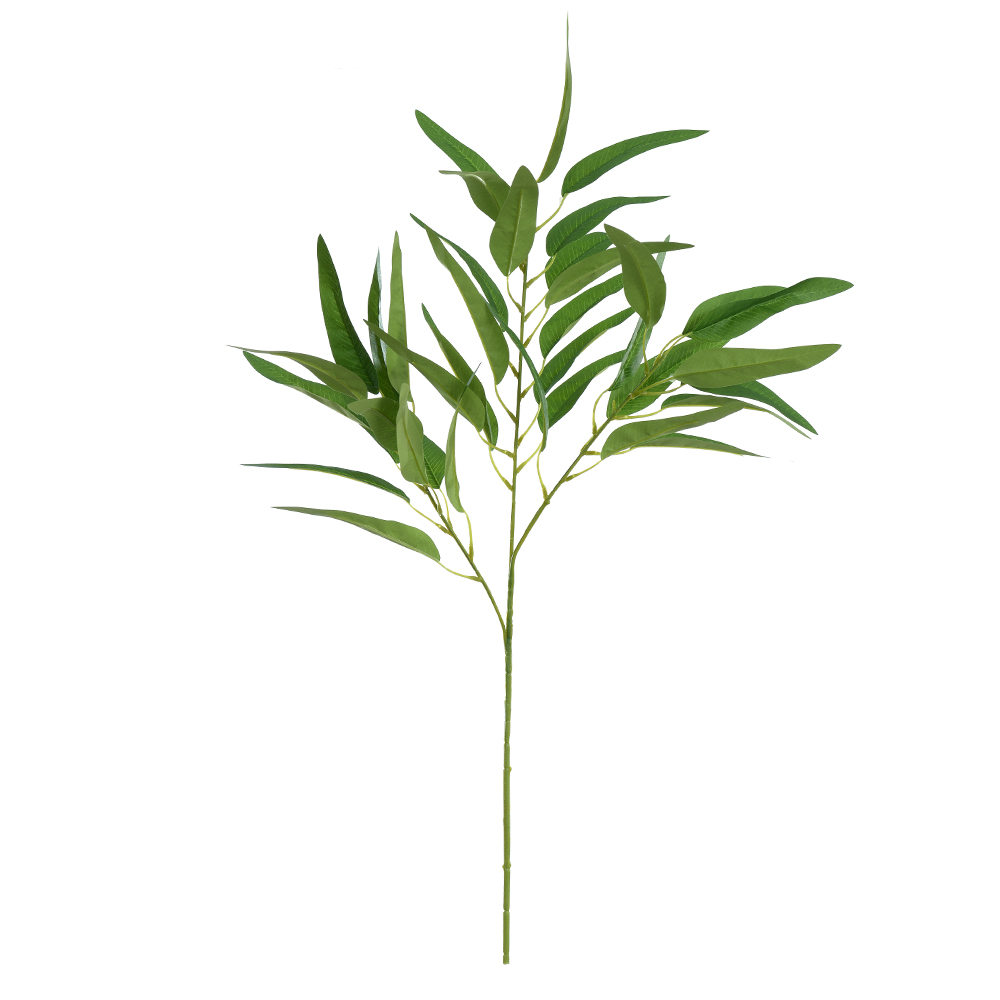 C.GALHO EUCALIPTO X41 (VERDE) 75cm