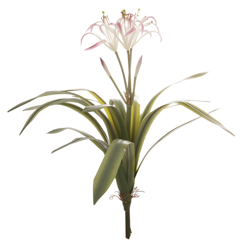 F.CRINO REAL TOQUE X21 (CREME PURPURA) 49cm