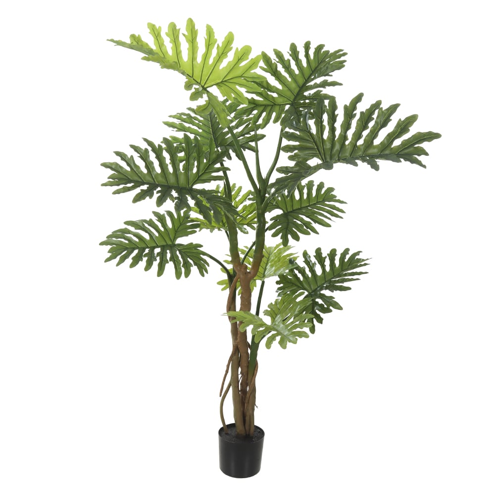 A.PHILO C/POTE X11 (VERDE) 1,5m