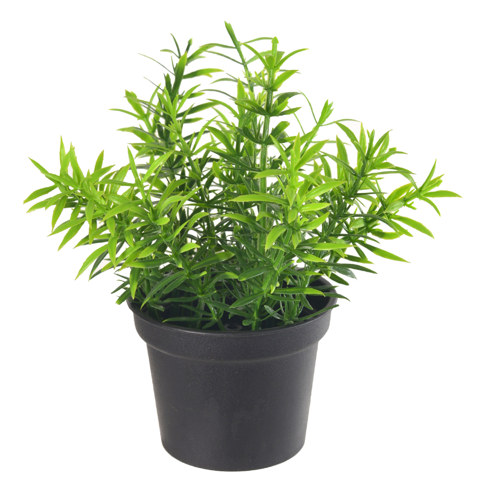 F.GRASS C/POTE PLASTICO X15 (VERDE) 15cm